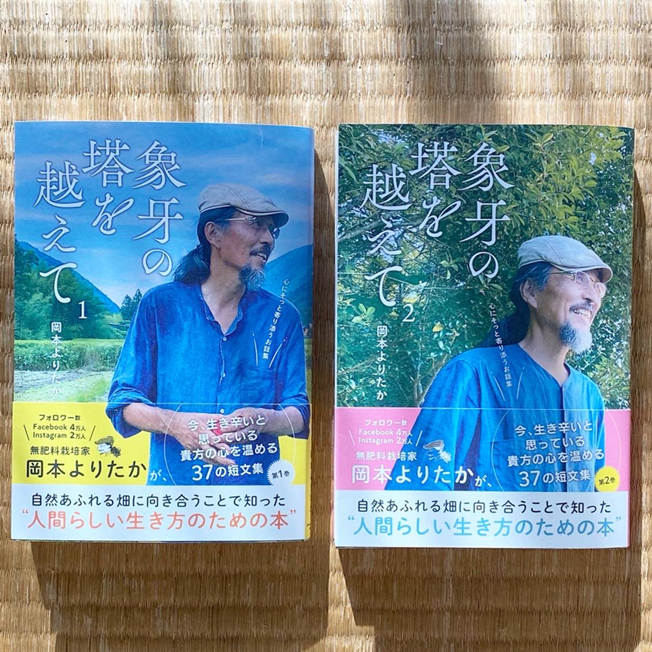 619b99187e588f25f9d55428
