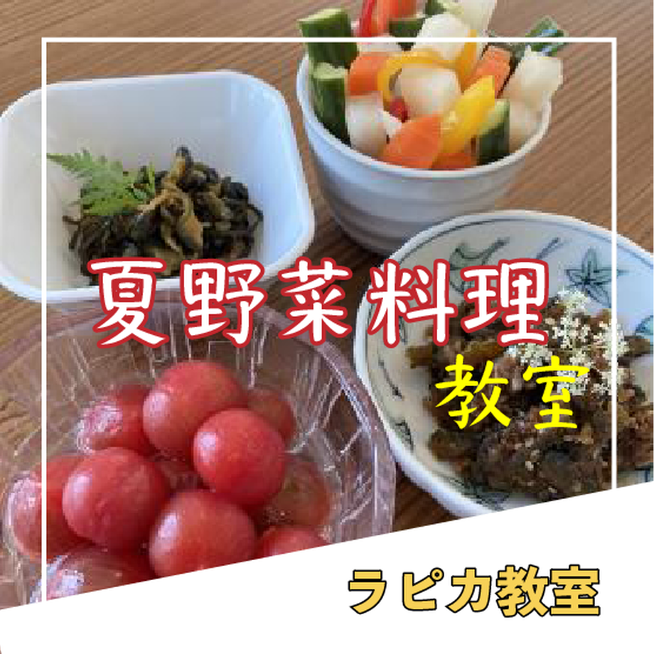 62971e62b1f1107996cd4b73