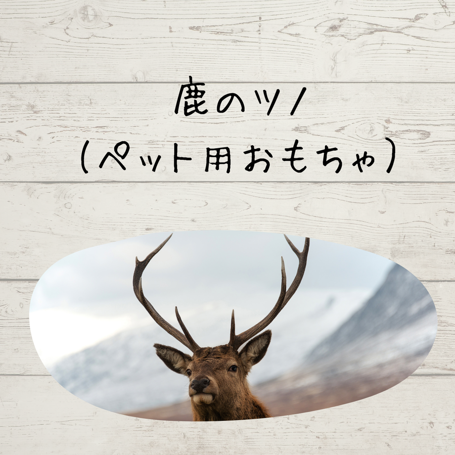 6188b7f20c984651382c5989