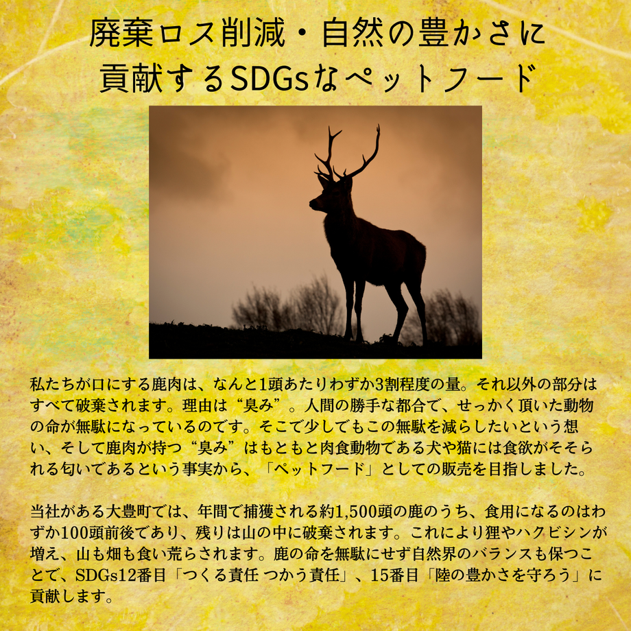 61a884a8ecd05720f73a06e4