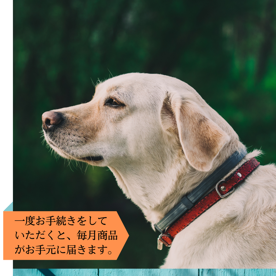 61a884a8ecd05720f73a06e4
