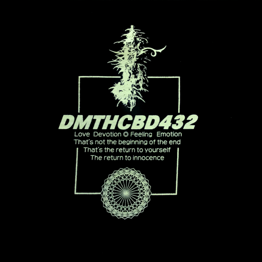 5ca550bf0686f309c68e39c3