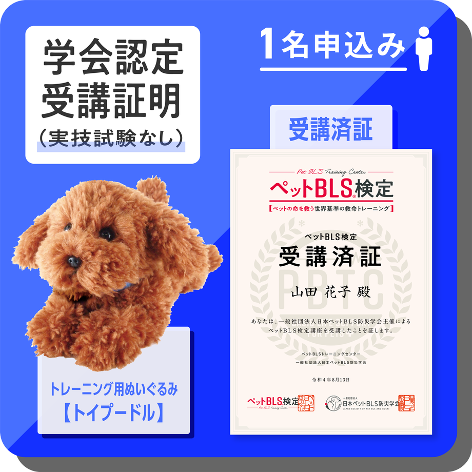 61bc518eecd0574a9231045e