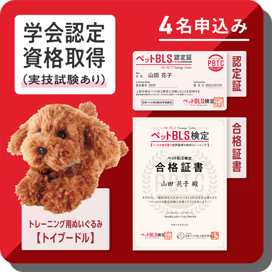 62f9c71cb821560f138222b4