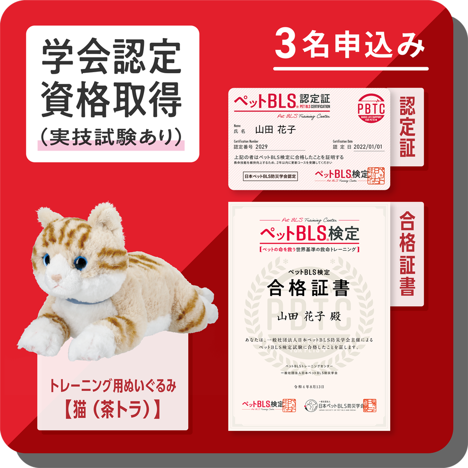 62f9c481a7e56010721eaf5f