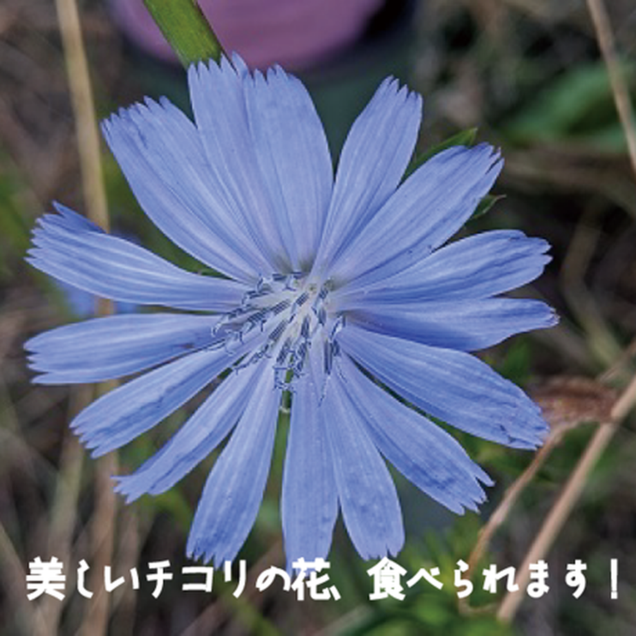 61b8bcc6d5ffeb1131a6cd56