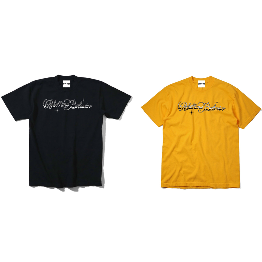 60c1713210398663a0f3dc3f
