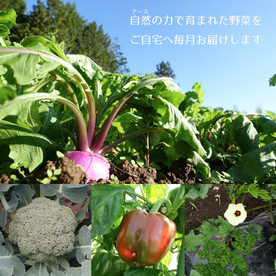 603344f6aaf04306fb9106fe