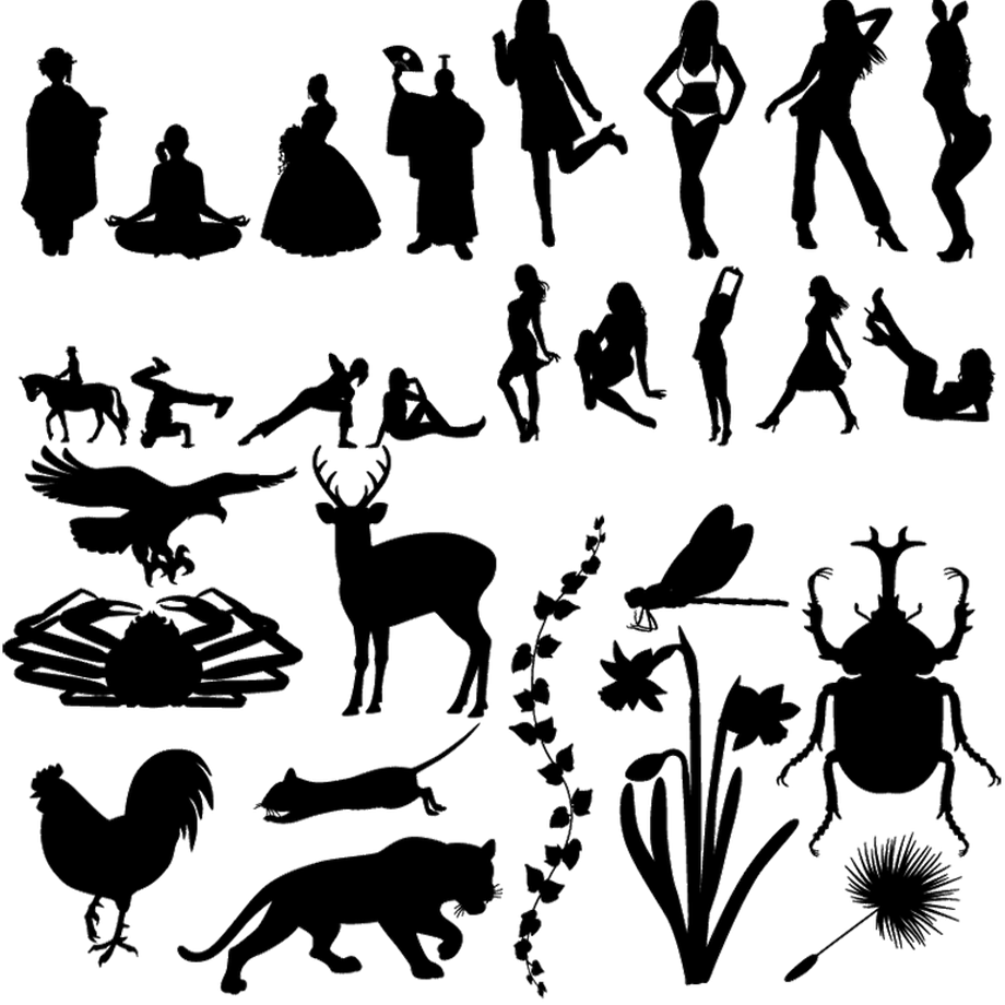 5c0fc56bc49cf3397fc67a96