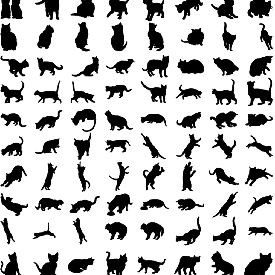 5c12ef3f2a28624c41cfb3dd