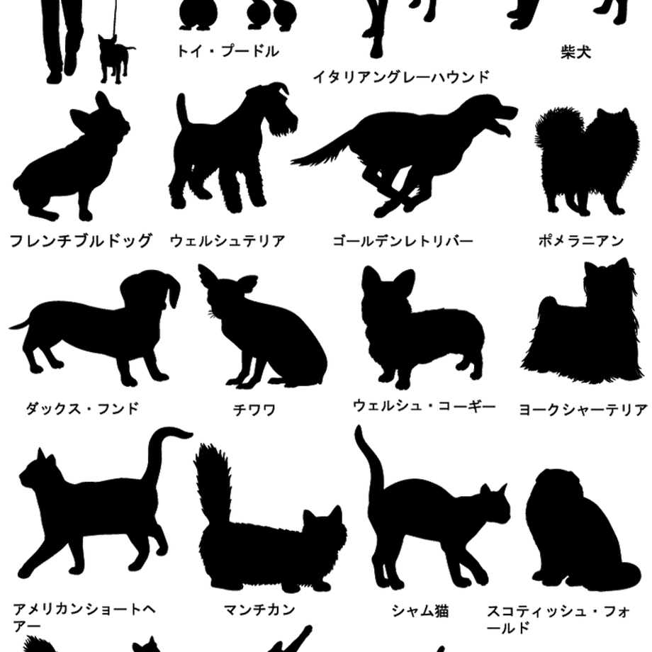 5c12ef3f2a28624c41cfb3dd