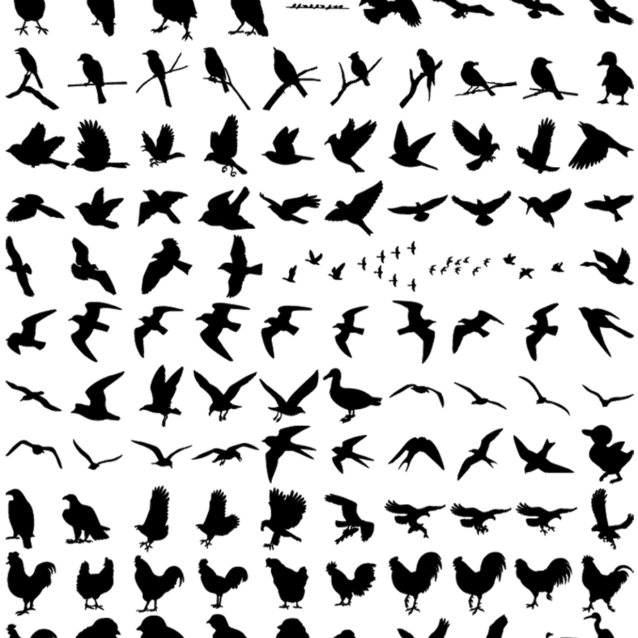 5c12ef0fc49cf3560da60b7d