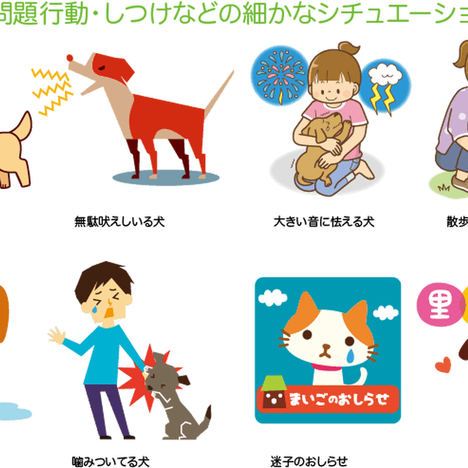 5c175a0fd0693b75acc30a62