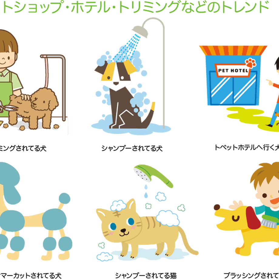 5c175a0fd0693b75acc30a62