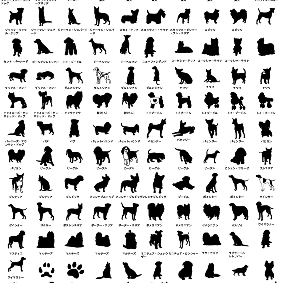 5c12ef3f2a28624c41cfb3dd