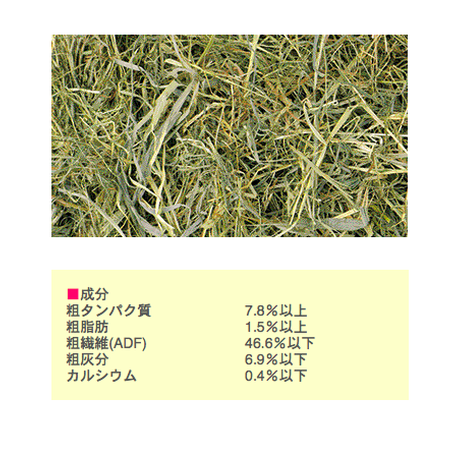 5aac99aa5f78661b5400102e