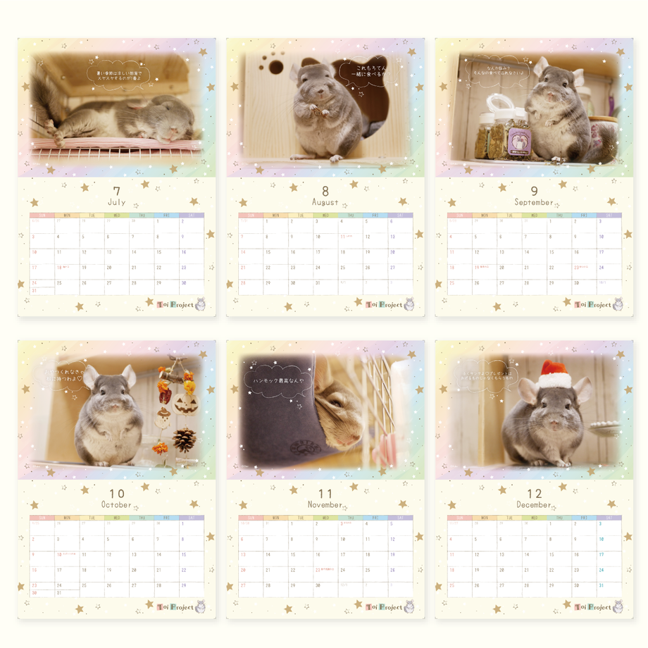 61a13ff29270a73cb25313cd
