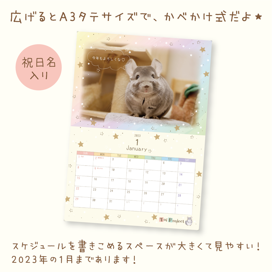 61a13ff29270a73cb25313cd
