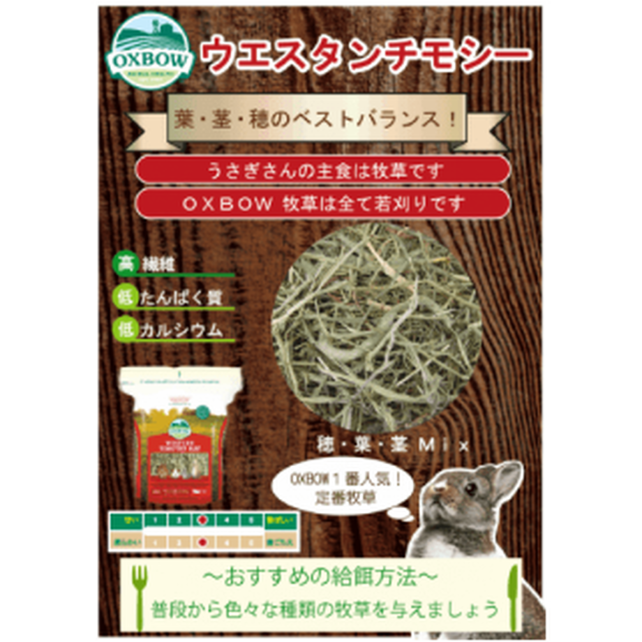 616ed49a0548e04196ef1ad5