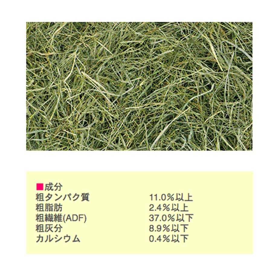 5aac9a56122a7d6df90000ed
