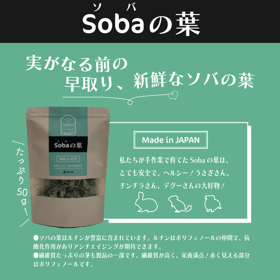 6362c3bc4ff8c23309ef9c17