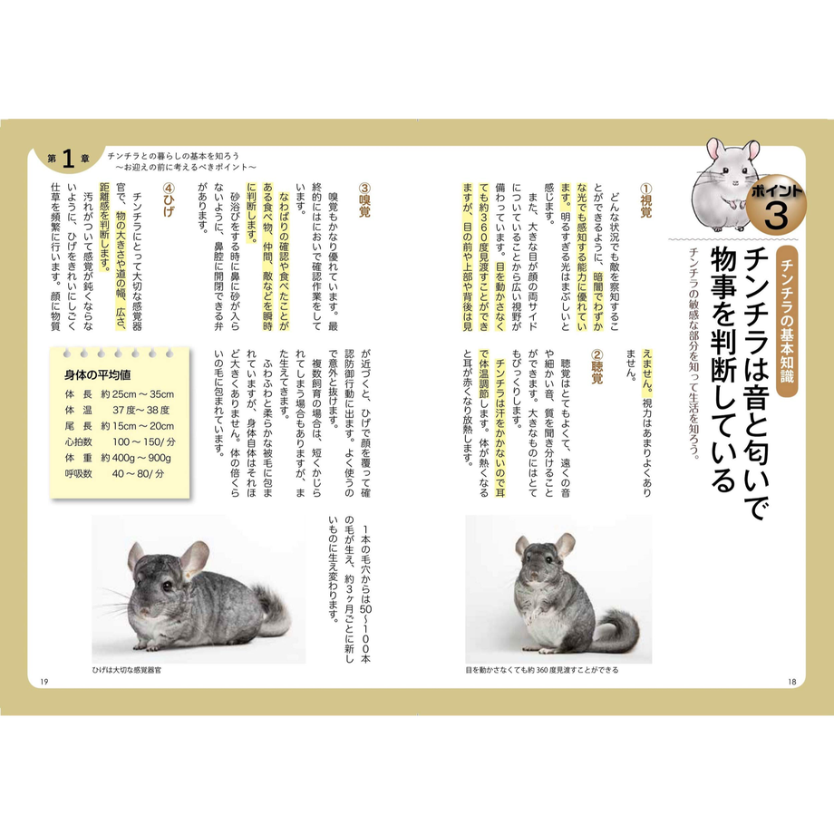 5f8917263313d26c72505aff