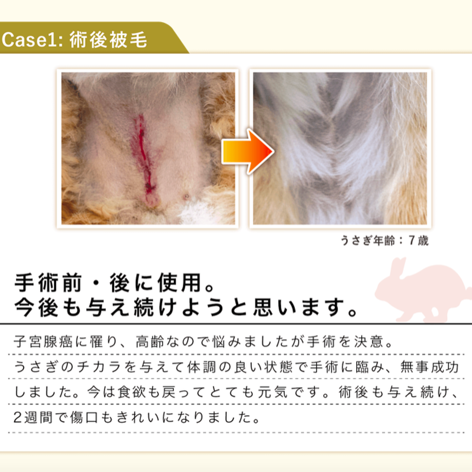 5c5db72faee1bb02863f6c49