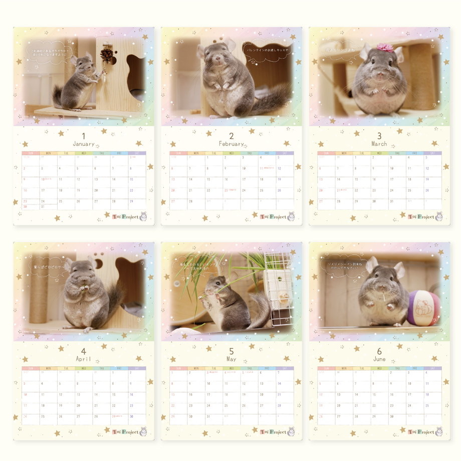 61a13ff29270a73cb25313cd