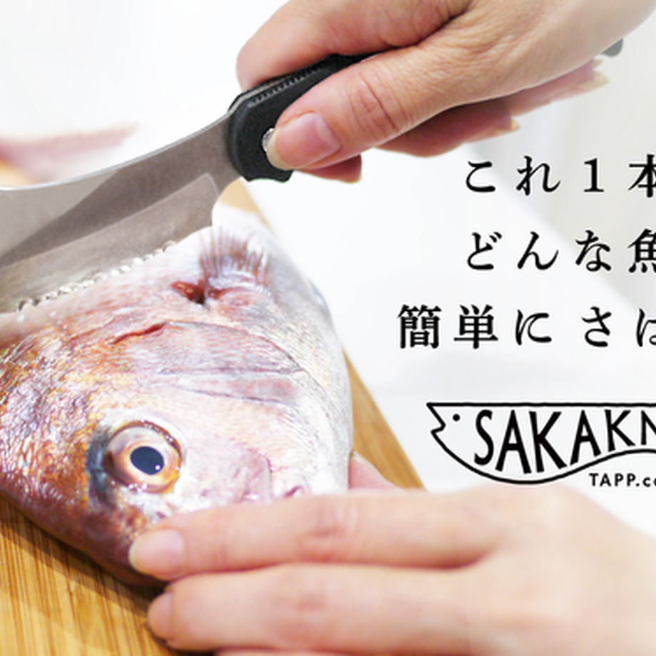 609628d6e70dc475f4ae89c0