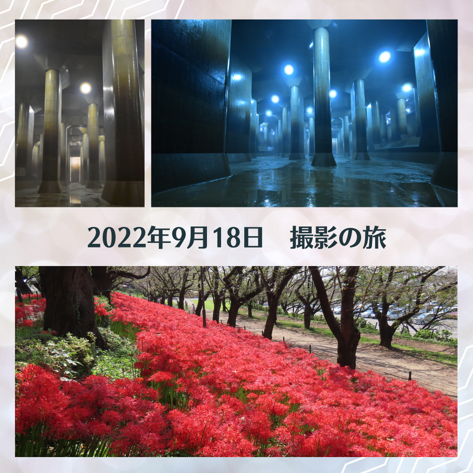 62f496bcd88937437980b54c