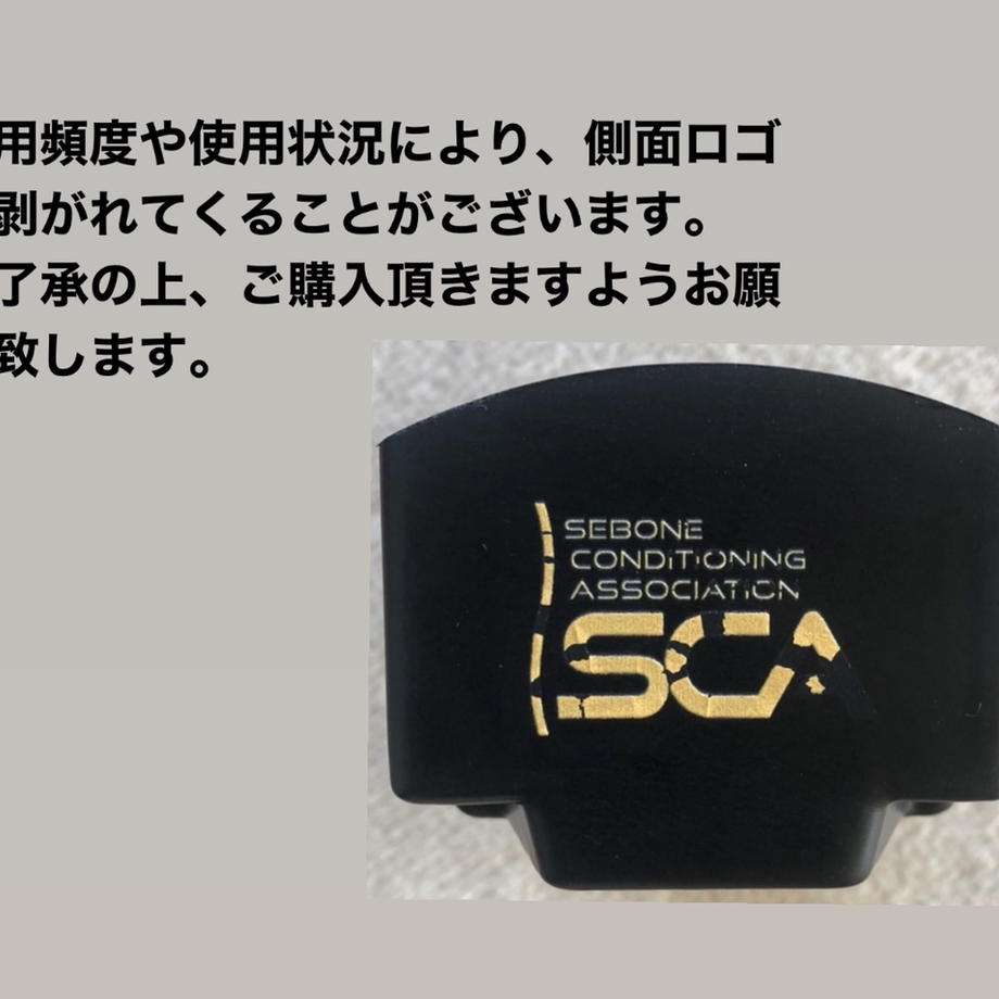 5ae014735496ff479b0000ca