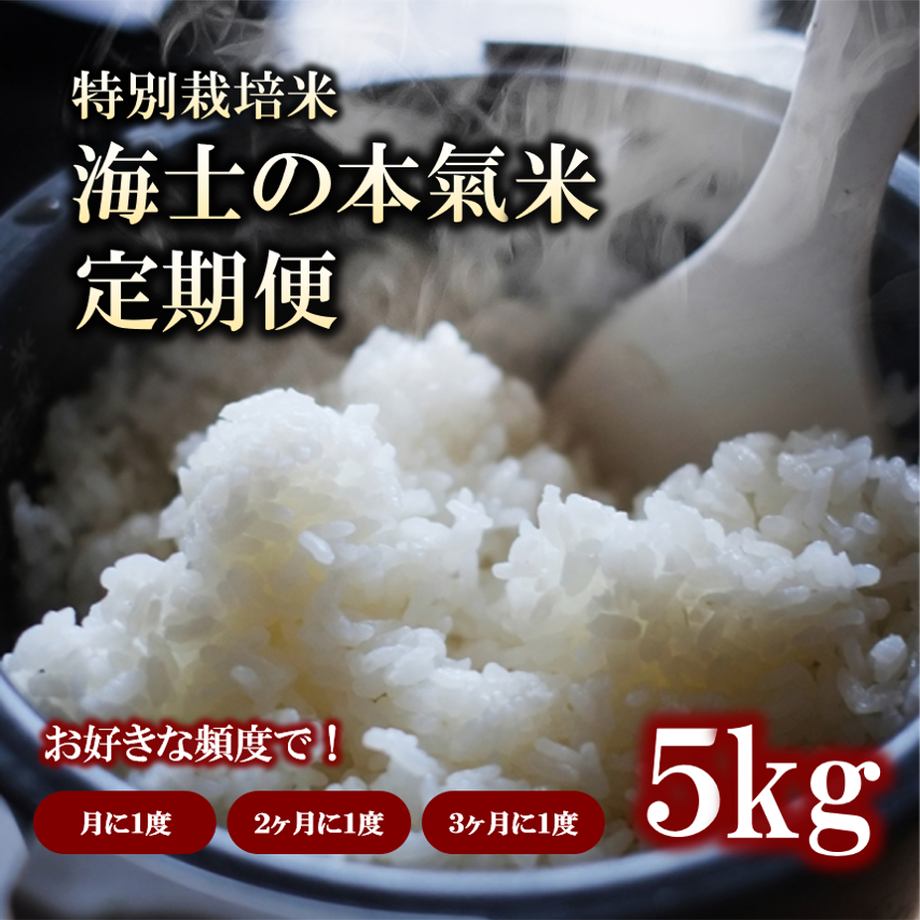 6080d013df62a9751c8e29d5