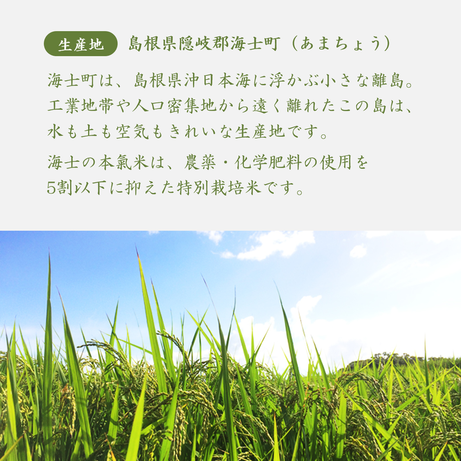 60813b8f047a9d4da30a1168