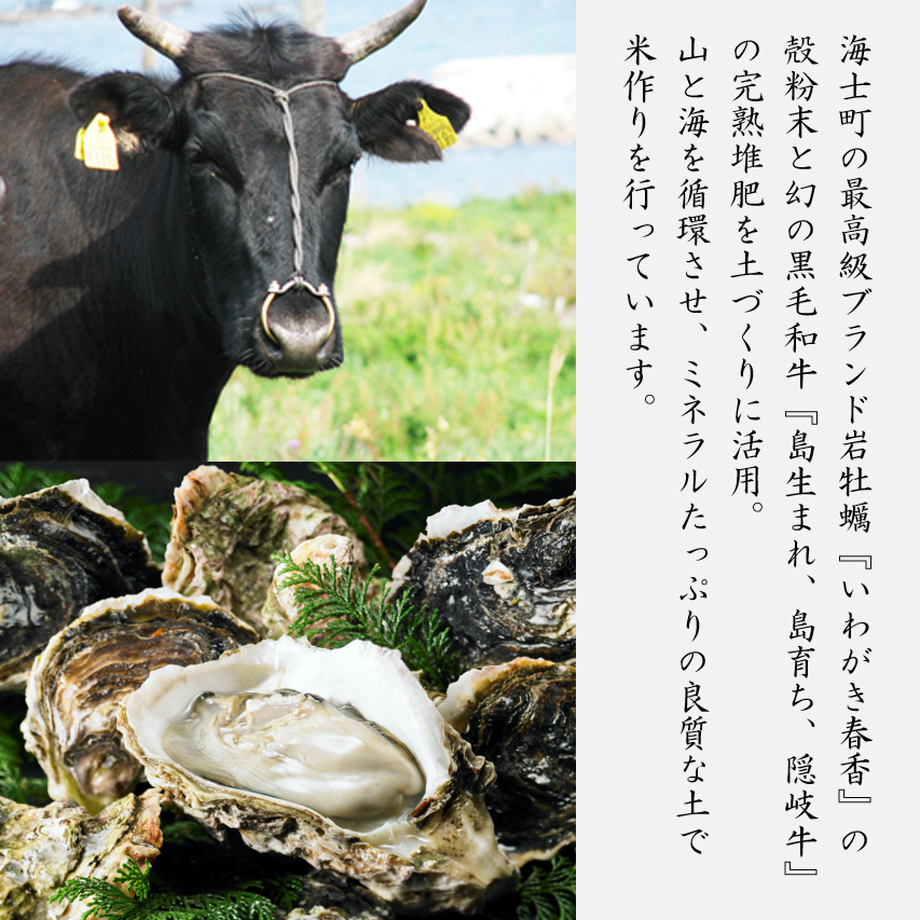 636b6352c15c5a66c0ca623a