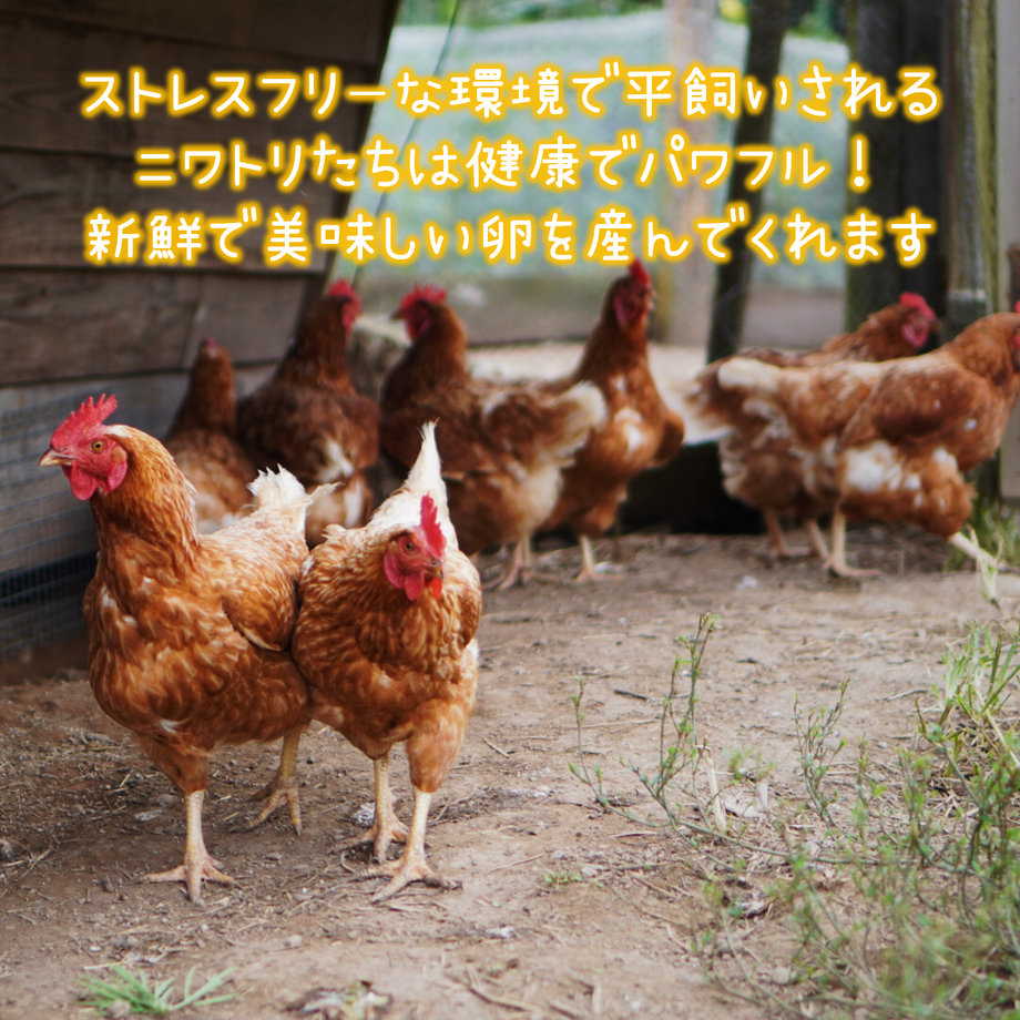 5fdc319db00aa340a88d7e51