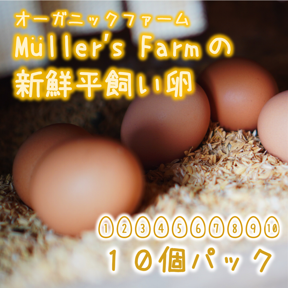 5fdc319db00aa340a88d7e51