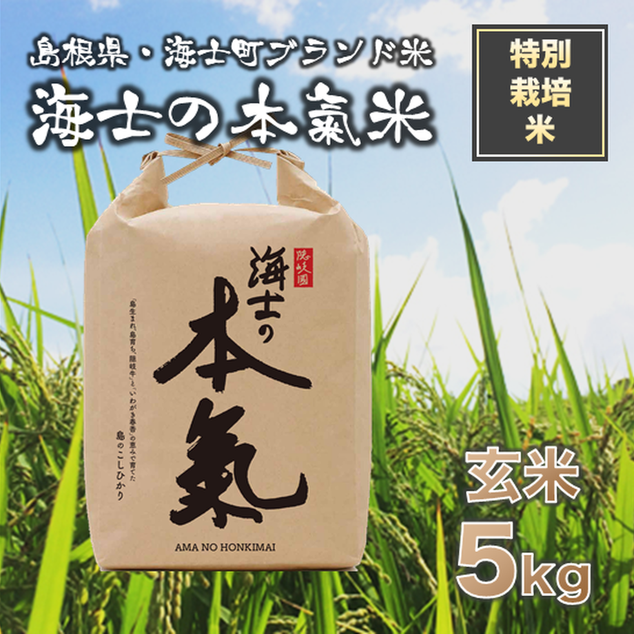 5fc7528e72eb460496e495b2