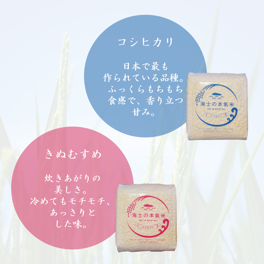 60813b1ada019c67f47bfa96
