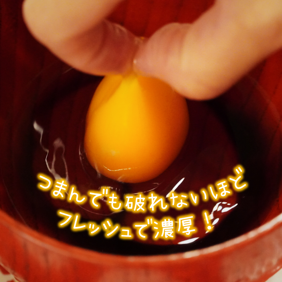 5fdc319db00aa340a88d7e51