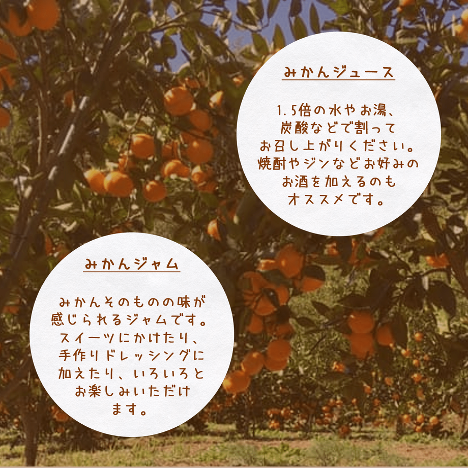 5ff4191f72eb46438a17a4c0
