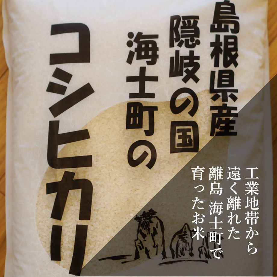 61833f8354ddd8158565ca71