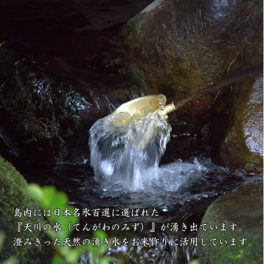 5fc7528e72eb460496e495b2