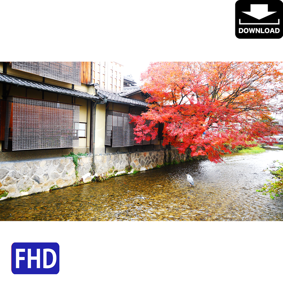 5a978691ef843f74d800098e
