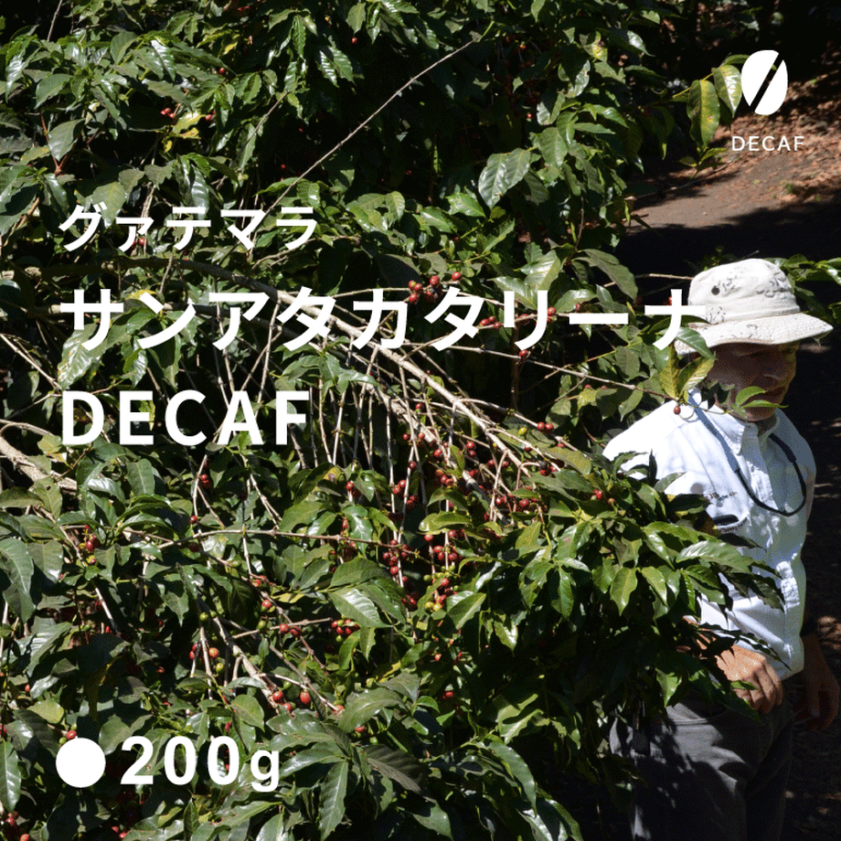 61e02607e3bbd1249dea15b7