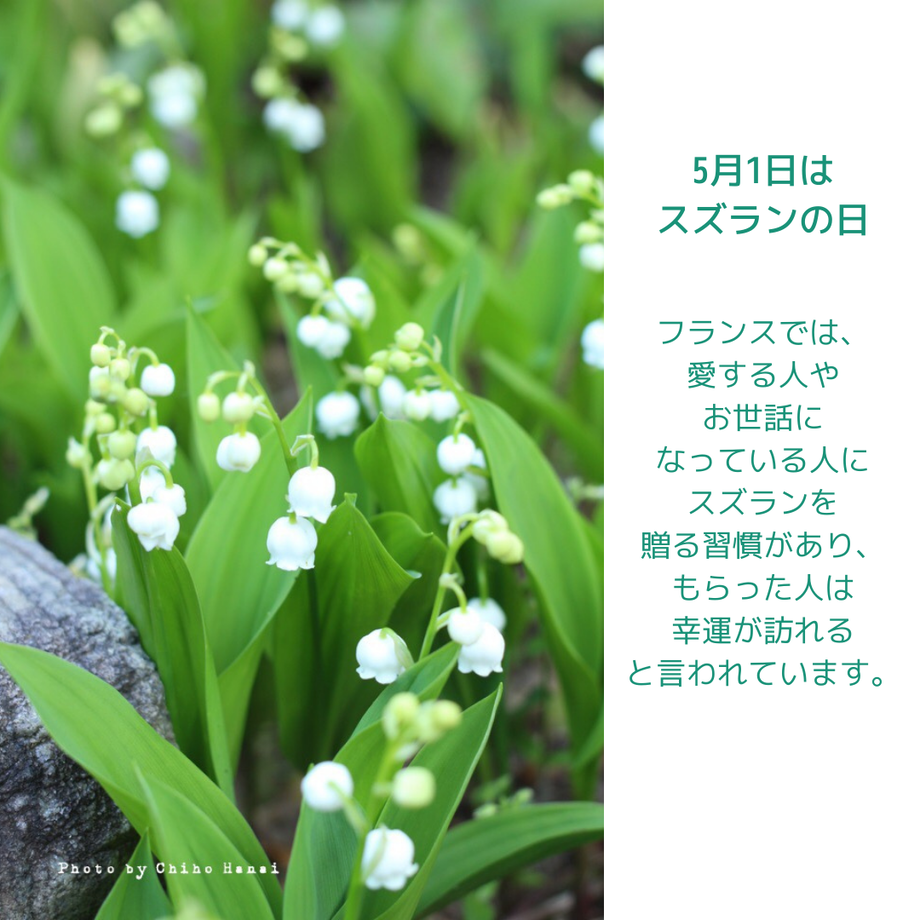 604e043c6e84d55b3b8616b8