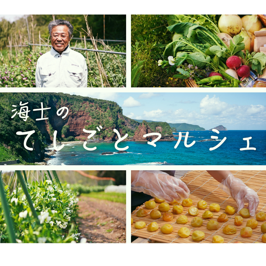 5ec7560055fa037db5332742
