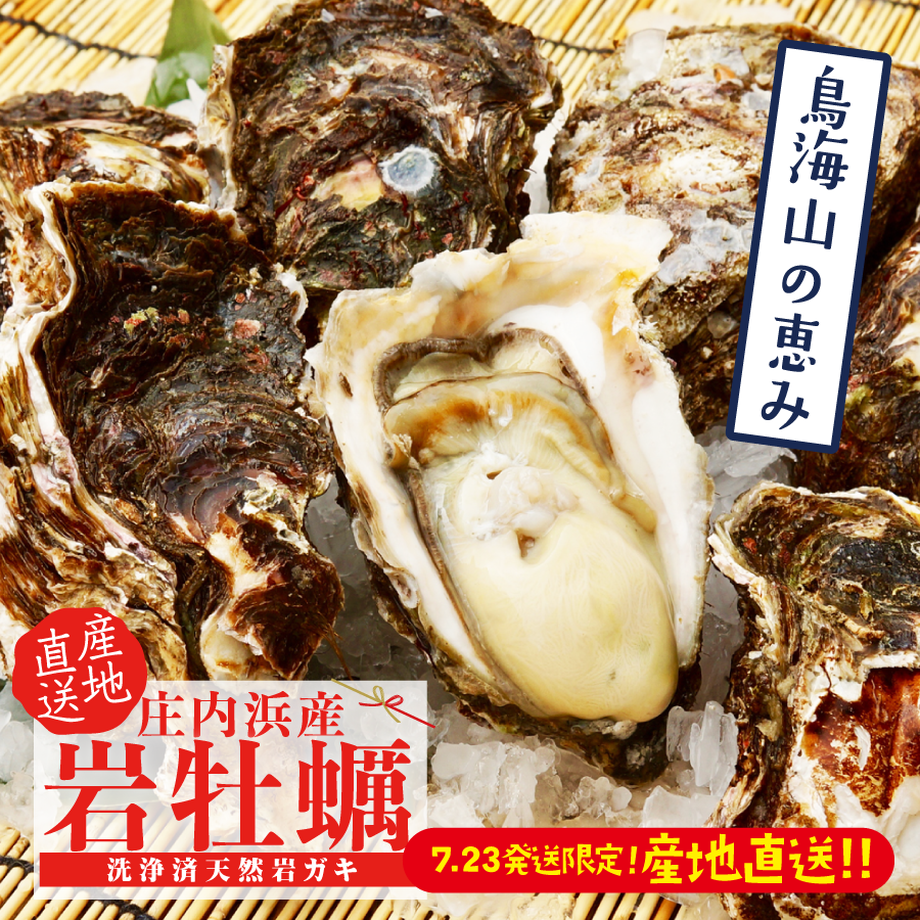 62b40b18d085ee748764cb9b