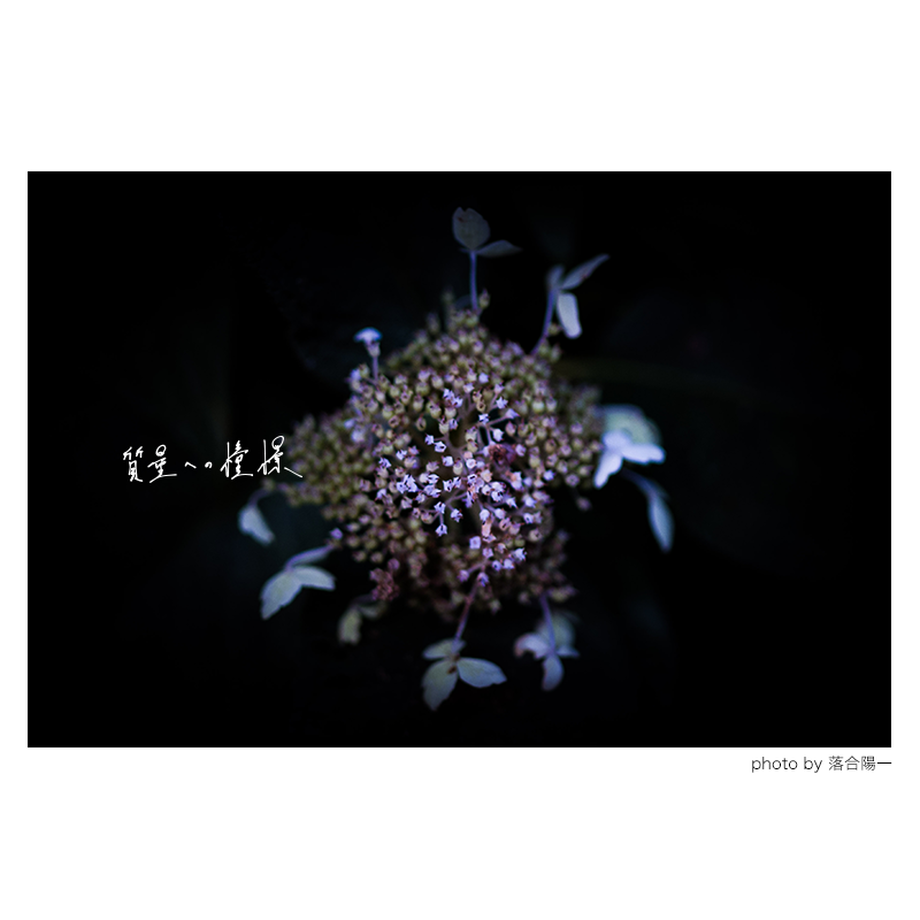 5c36f6f02a28627d5dd03450