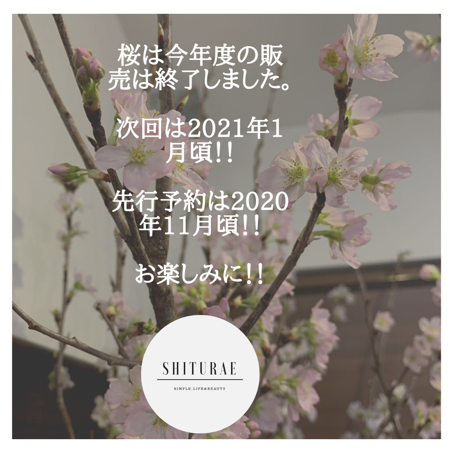5ea752bfcee9ea343f13fefd