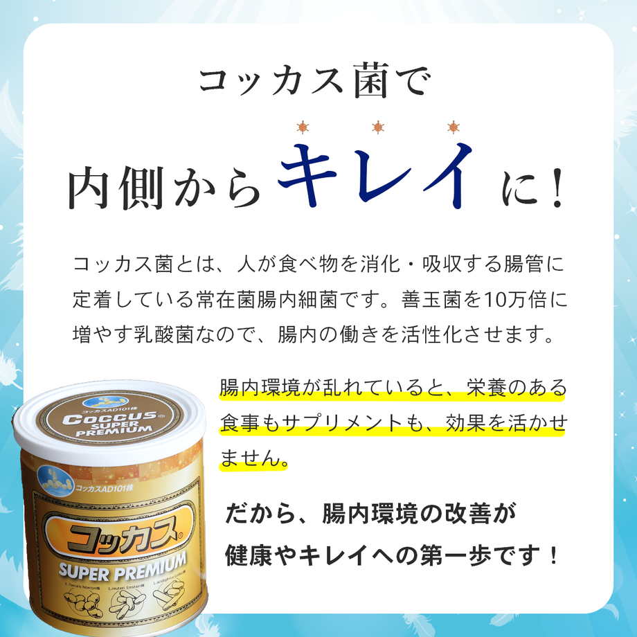 6062e082baeb3a5946686abc